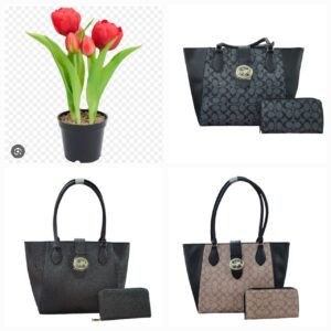 Bolso+Billetera Coach 013