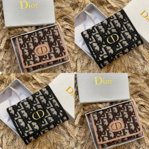 Mini Billetera Dior Premium 042