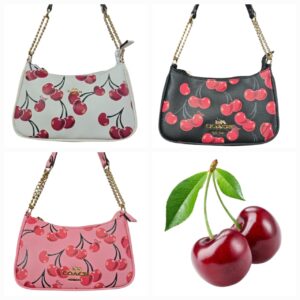 Crossbody Coach 071