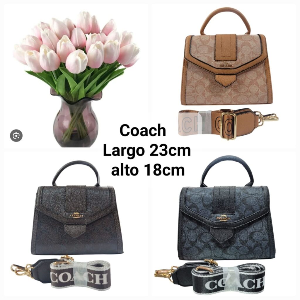 Crossbody Coach 072