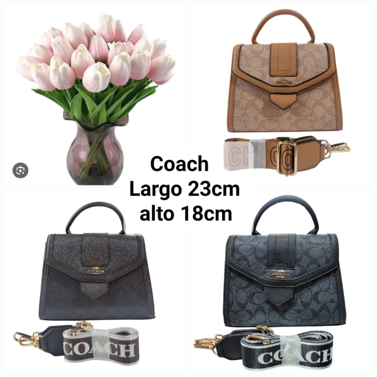 Crossbody Coach 072