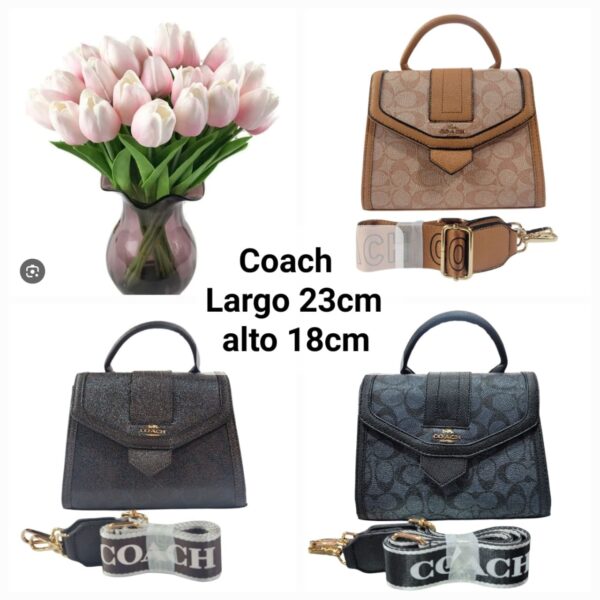 Crossbody Coach 072