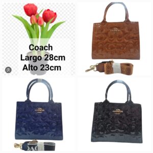 Crossbody Coach 073