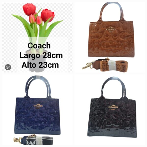 Crossbody Coach 073