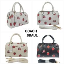 Bolso Coach Fresitas 121