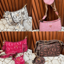 Multi Guess premium 451