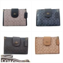 Bolsa Coach B529