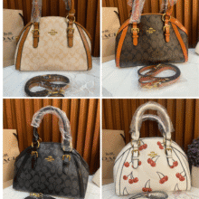 Signature Canvas Coach