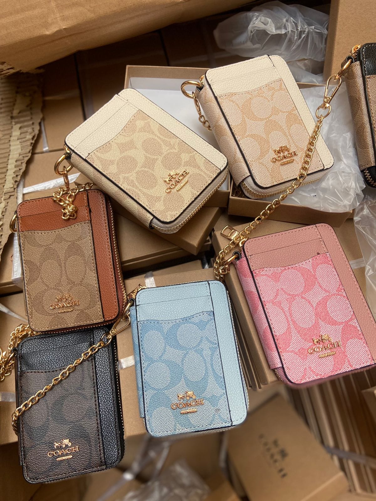 Tarjetero con Cremallera Coach