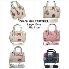 Mini Coach Bags