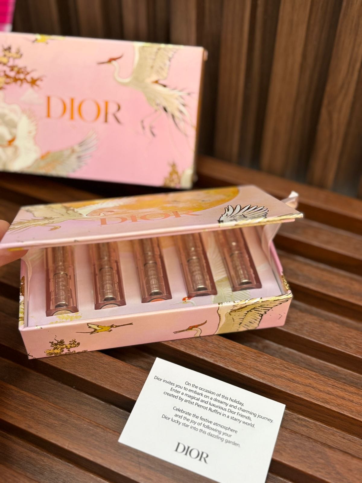 Set Bálsamo Labial Icónica Dior