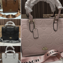 Coach Maggie Small Tote Bag