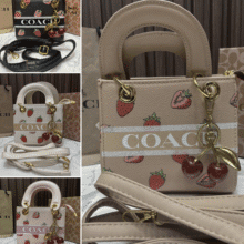 Coach Dempsey Tote 22