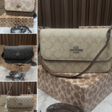 Coach Brynn Flap Crossbody Bag