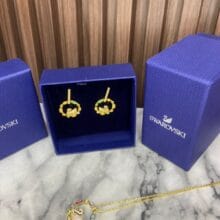 11-1 Aretes Rainbow Swan Swarovski