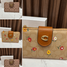 Billetera Coach BTCCH901