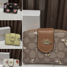 Mini Billetera Coach