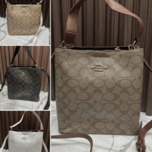 Coach Small Town Bucket Bag