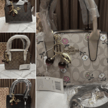 Rowan Satchel de Coach en Lona