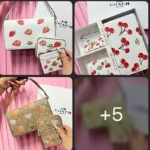 nov1 Set Crossbody Coach Now York