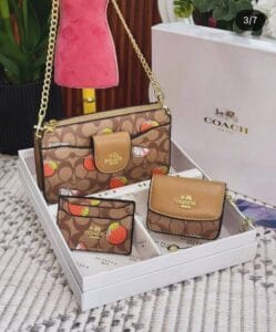 Set Coach CW34 C/Caja