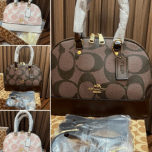 Signature Canvas Coach WIEND