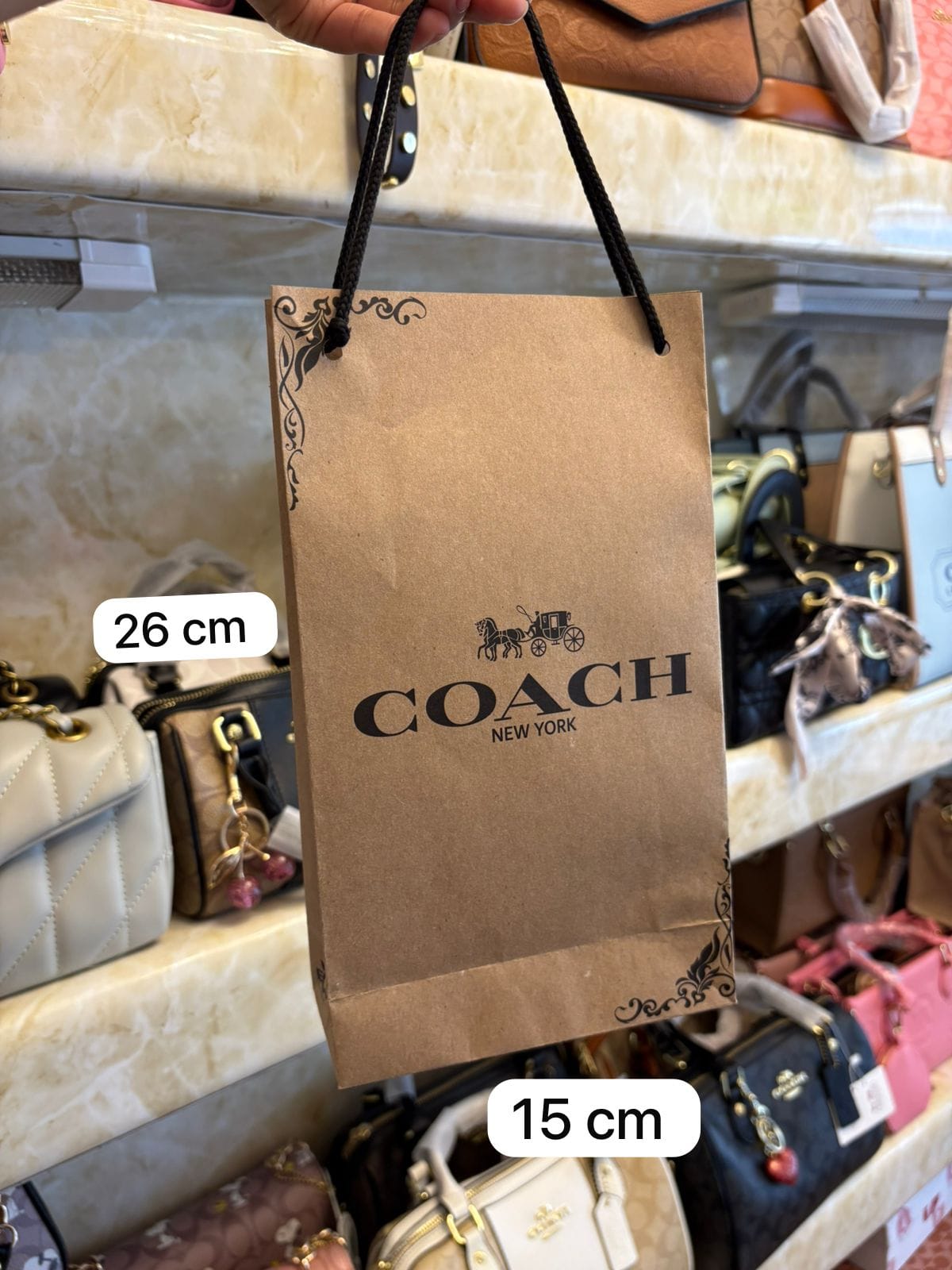 Bolsa de Compras de Papel Coach COD208N