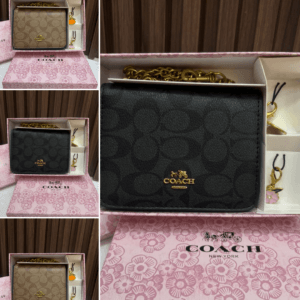 Mini Bolso Coach BC03 (no incluye llavero ni caja)