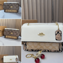 Bolso-con caja-LX-BS-0036