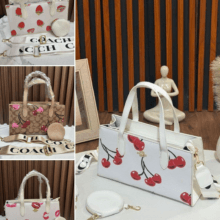 Bolso-sin caja-LX-BS-0060