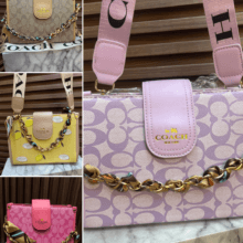 Bolso-sin caja-LX-BS-0048