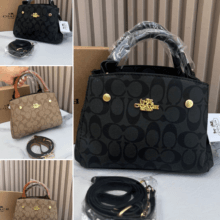 Bolso-Con caja-LX-BS-0027