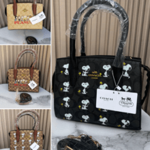 Bolso Snoopy-sin caja-LX-BS-0029