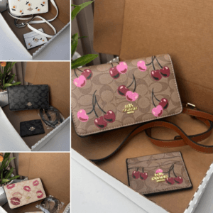 Bolso-con caja-LX-BS-8932