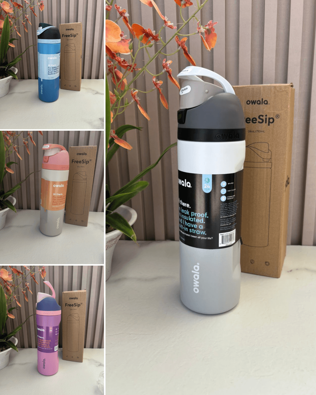FreeSip 24oz ZC-078