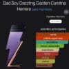 Bad Boy Dazzling Garden EDT 100ml