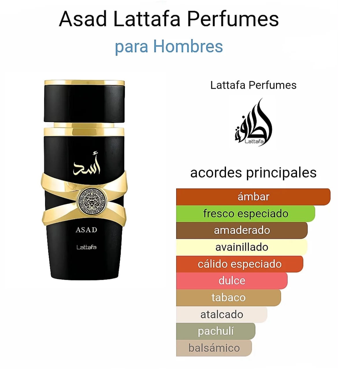Asad EDP 100ml
