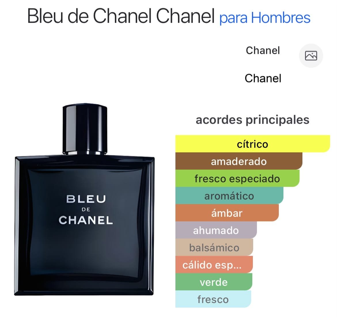 Bleu de Chanel EDT 100ml