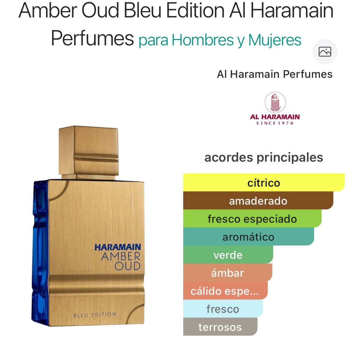 Amber Oud Bleu Edition EDP 100ml