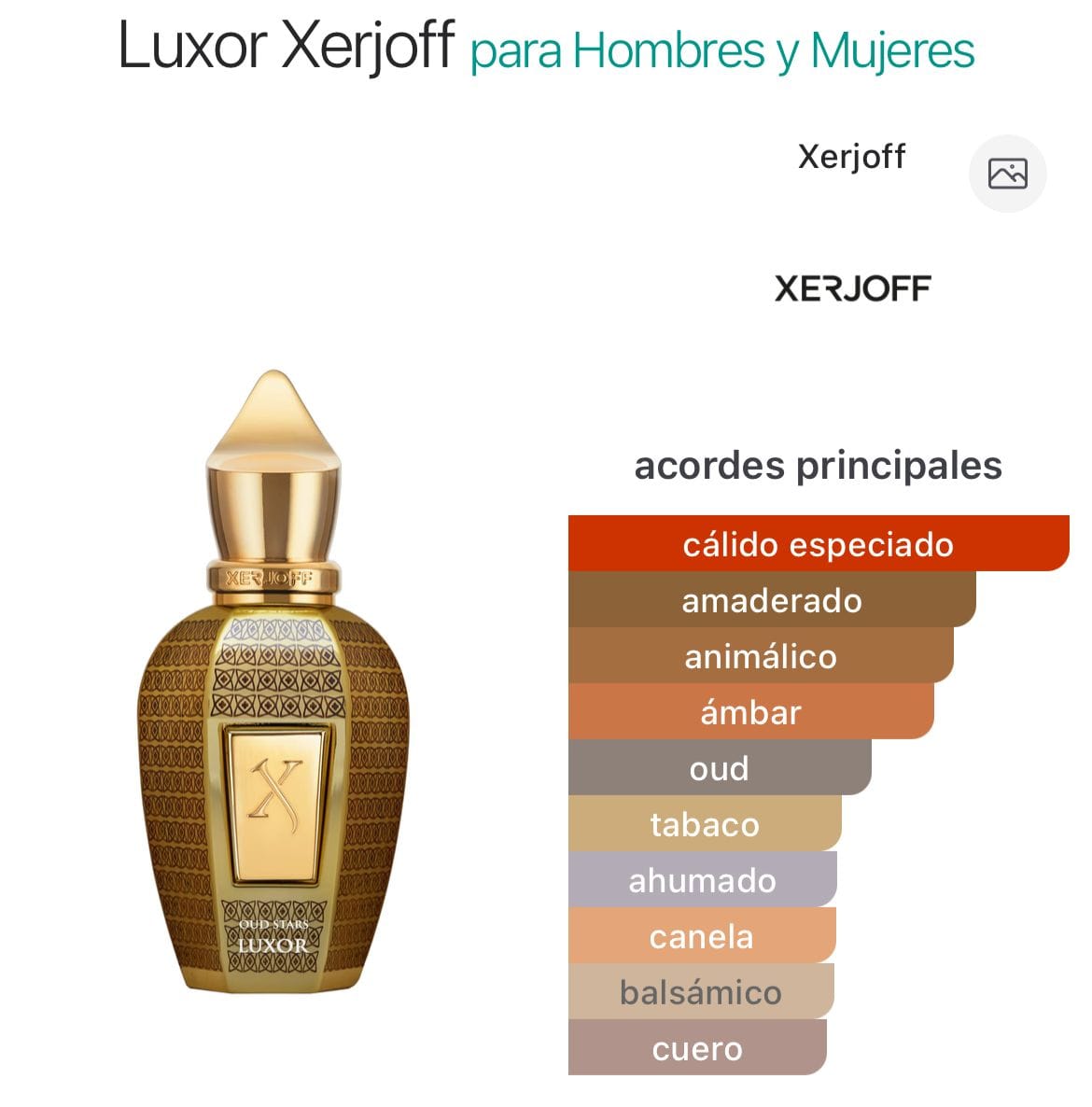 Luxor EDP 100ml