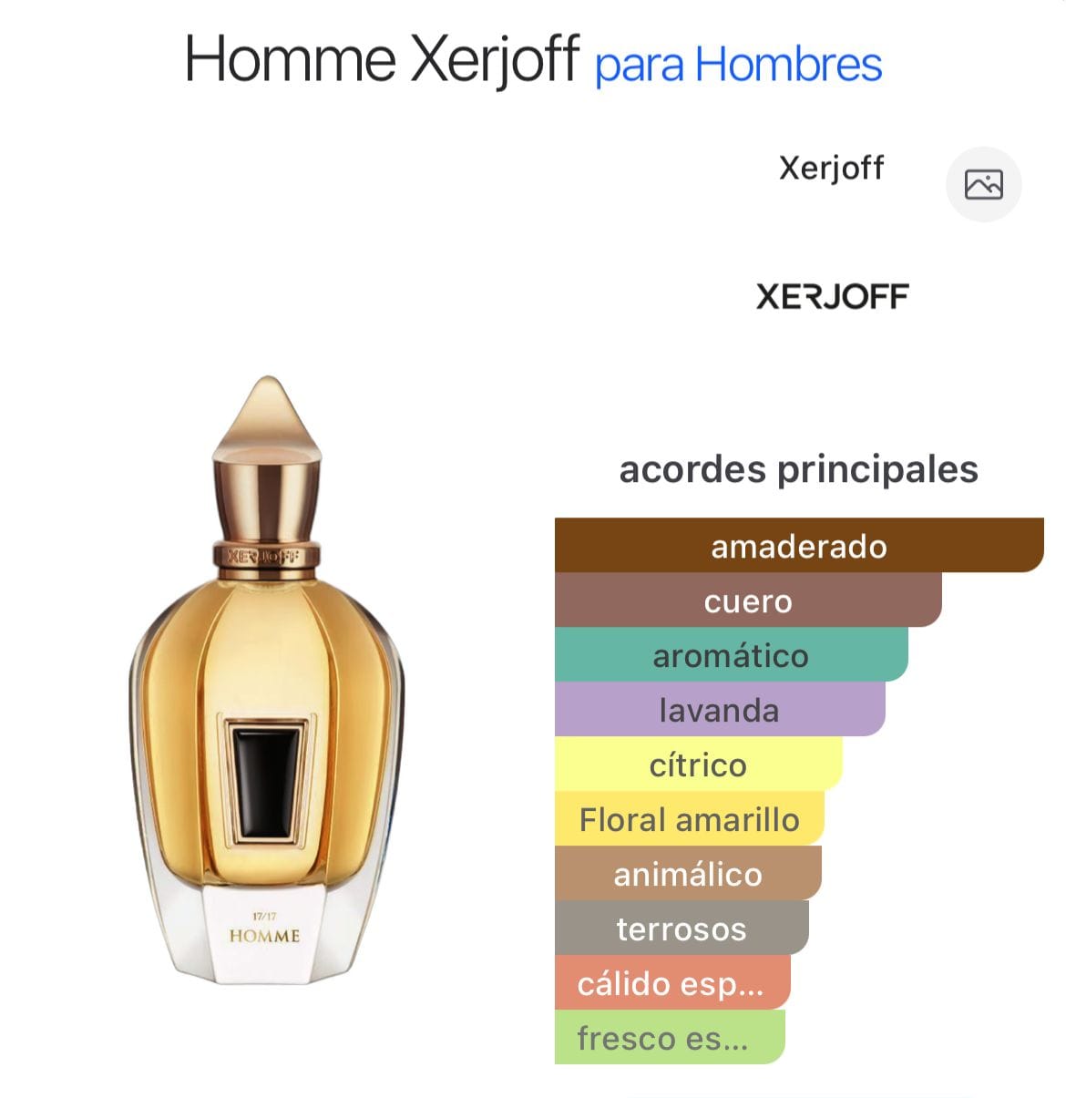 Homme Anniversary EDP 100ml