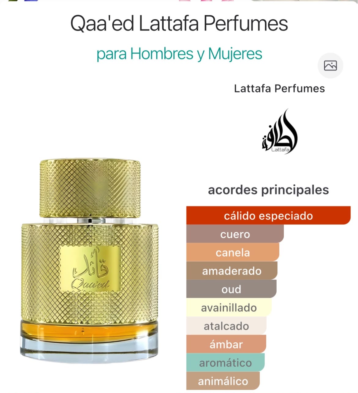 Qaa'ed EDP 100ml