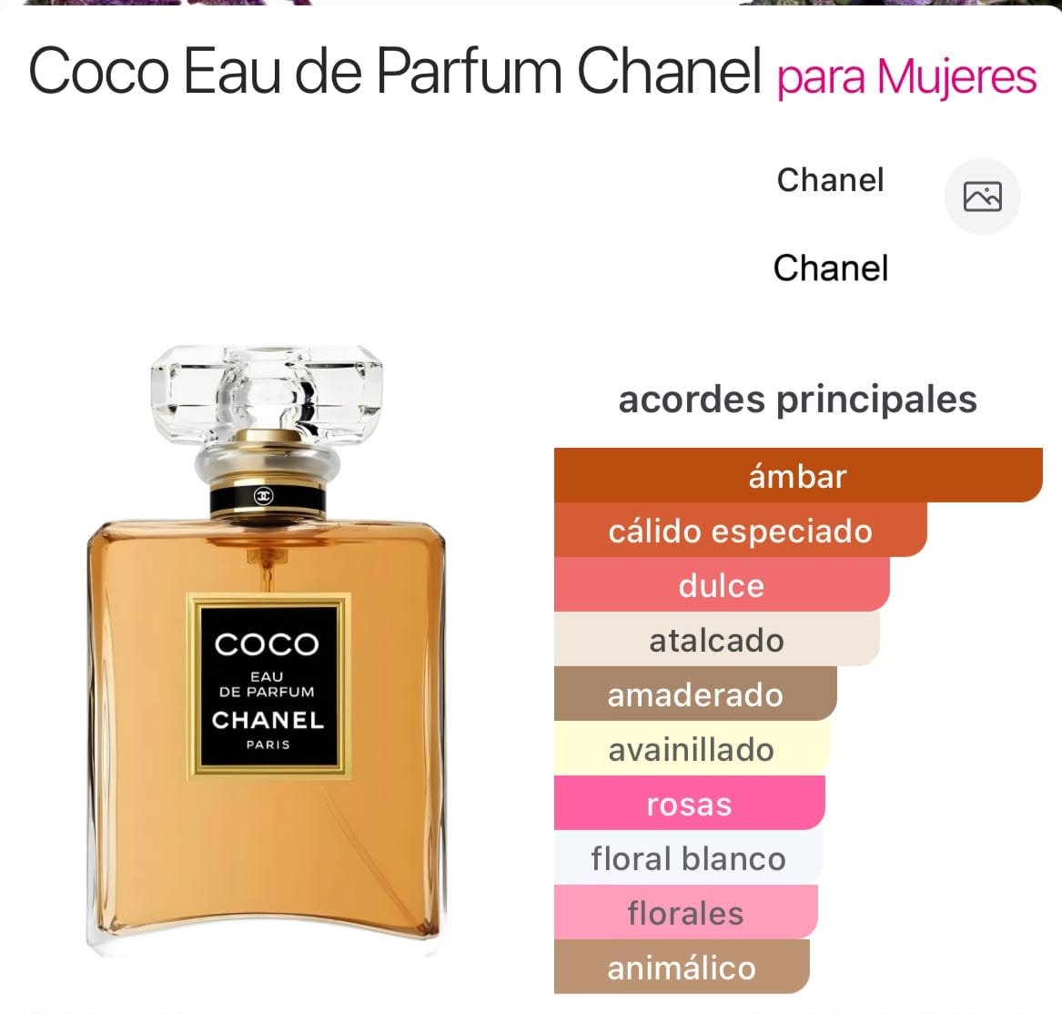 Coco EDP 100ml