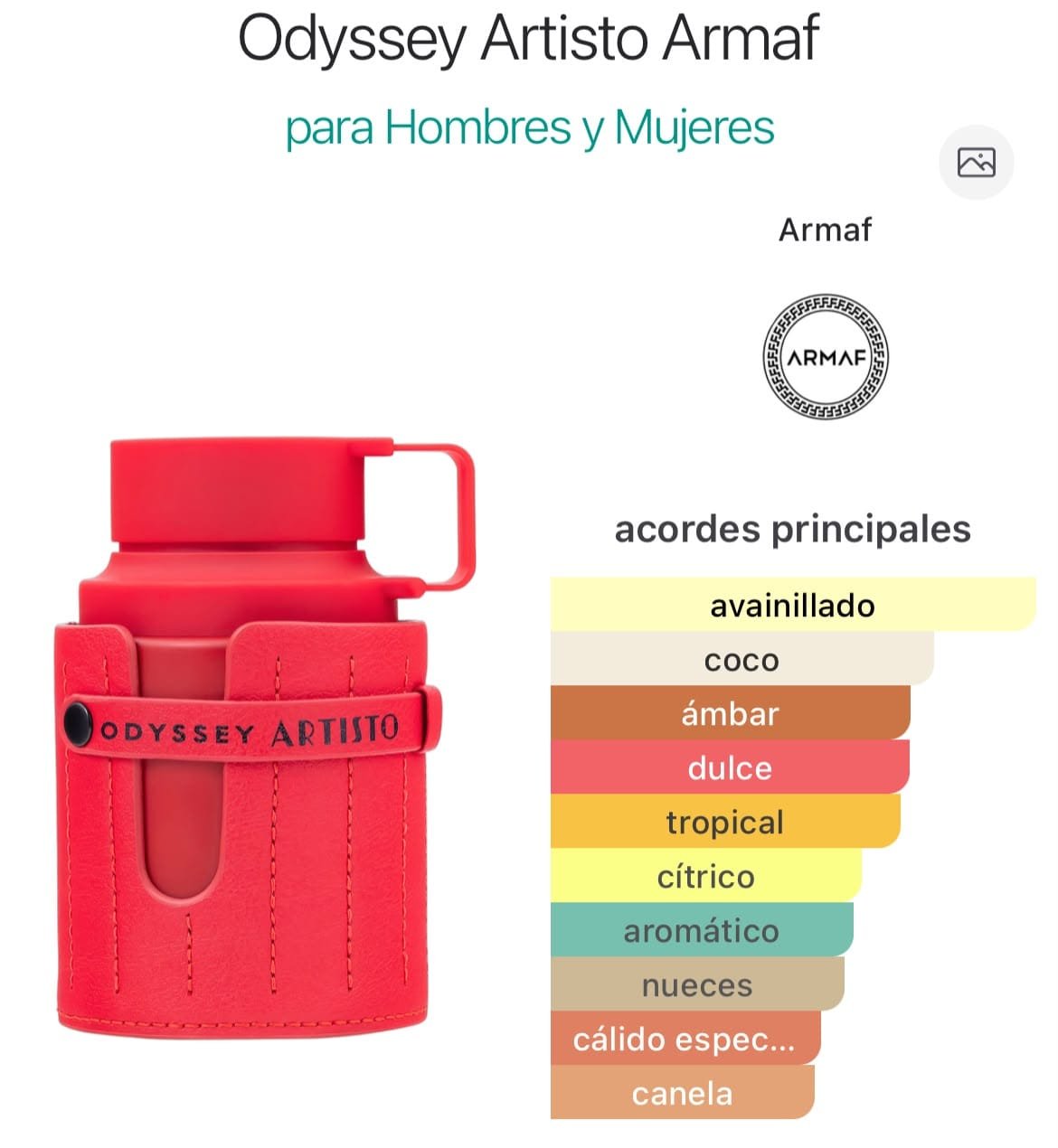 Odyssey Artisto EDP 100ml