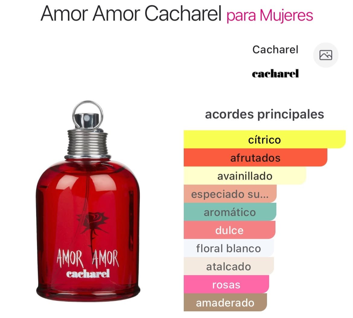 Amor Amor EDT 100ml