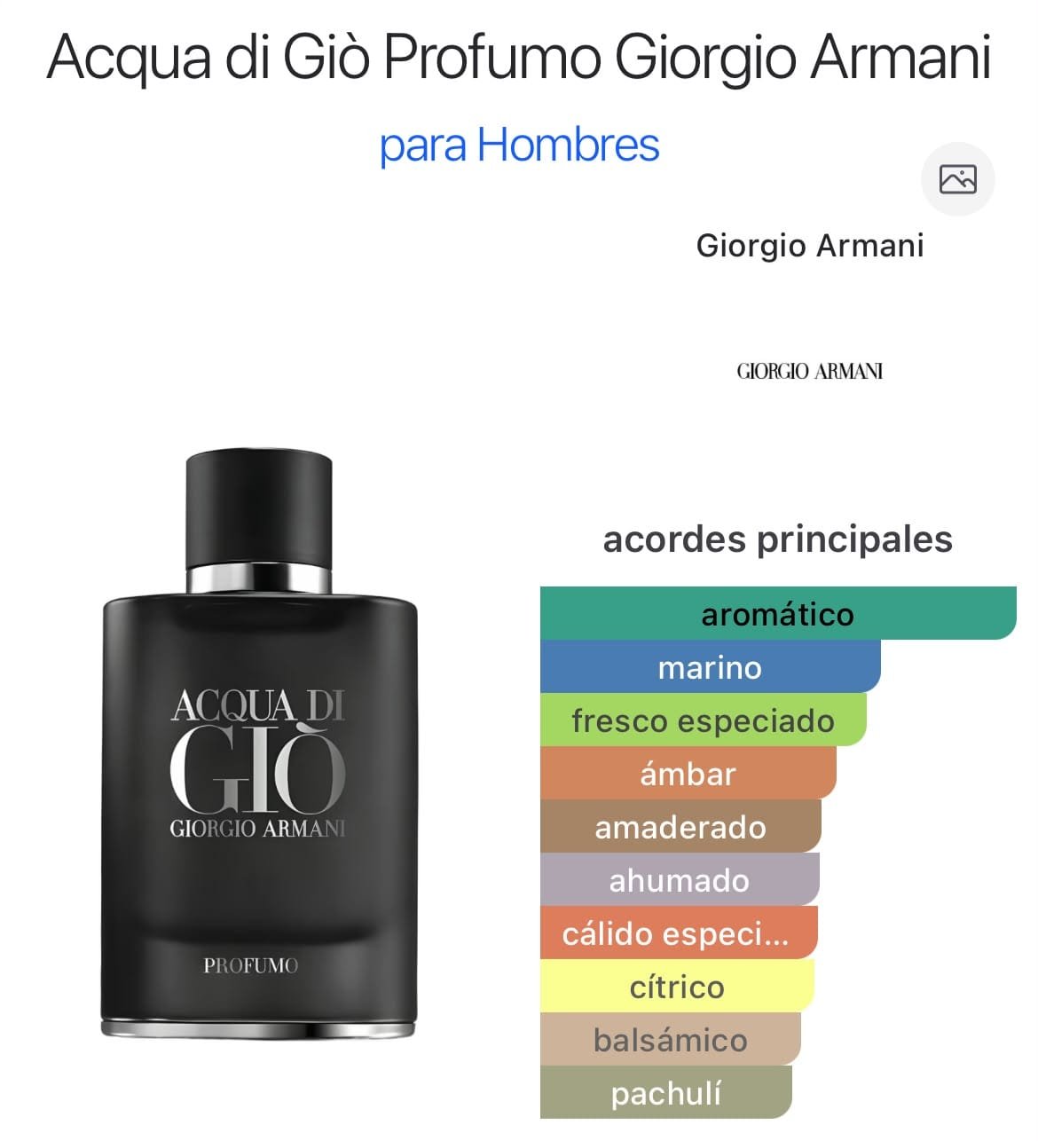 Acqua di Giò Profumo Parfum 100ml